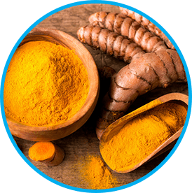 Himalayan Turmeric in Venus Factor for Leptin signaling and inflammation